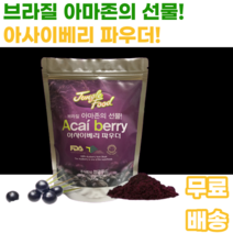 아사이베리 분말 브라질 스프레이 드라이공법 acaiberry powder euterpe oleracea 아마존 야자열매 야자수 남녀노소 누구나 어린이 아이 10대 20대 여성 여자, 1통, 300g