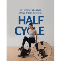 미니 실내자전거 실내사이클 좌식실내자전거 실내용자전거 하프 사이클+요가매트블루 층간소음대비