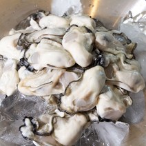 최상급 통영직송 통영굴 통영생굴 알굴 깐굴 생굴 2kg