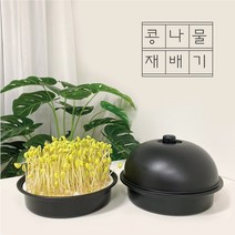 감성편의점 집에서 콩나물 키우기 재배기 기르기 세트 키트 어린이집 유치원 초등학교 가정용, 2) 중형키트(체험콩+설명서)