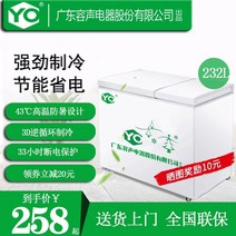 소형 냉동고 가정용 일류 에너지 절약형 냉동 및 냉동 음소거 미니 렌탈 대용량 상업용 소형 냉동고 수평