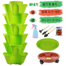베란다 테라스 정원 실내 식물 딸기 수직 화분 키우기, 그린 6개 물받이+일반 트레이+범용트레이