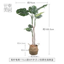 인조목 몬스테라 인별그램 카페 인조목 플로어 스탠딩 옷가게 대형 미국식 지상 식물 화분, J