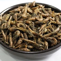 남해안 보리새우 500g, 단품