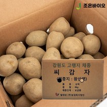 강원도 왕산면 채종 씨감자 두백 4kg 보급종 감자씨