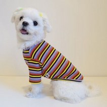 트로피카나 반폴라 티셔츠.몽앤치크