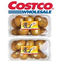 코스트코골드키위 제스프리골드키위 3.6kg (24~28개입) 제주 골든 1박스 특대과 특대 점보 선물세트 당뇨에좋은 제철 썬골드 당뇨 변비 임산부 다이어트 외국 효능 후숙과일