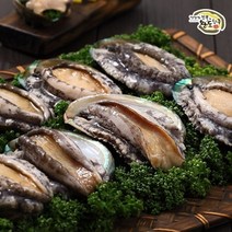 완도전복 [완도전복] 명품완도전복 400g (45g-9미), 기타