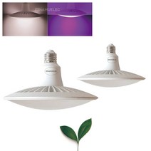 빛솔 LED 식물등 15W 식물생장 재배등 엘이디램프 다육이전구, 키소켓, 보라색