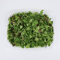 청보 유기농 어린잎채소 100g 친환경인증