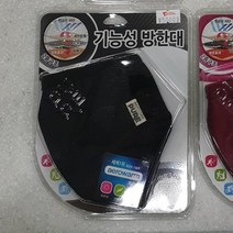 보성 퓨어 성인용 기능성 방한대 마스크-검정, 1개, 1매