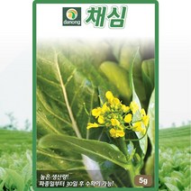 채심 씨앗 채심 씨 종자 5g, 1개