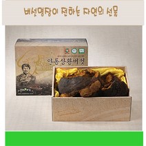 상황버섯 덩어리 목질진흙버섯 균사체 야생 자연 뽕나무상황버섯 효능 아가리쿠스 차 물 장수 펠리누스린테우스 본초강목 먹는방법 면역 365 ply 무농약 명품 류충현 국내산, 500g