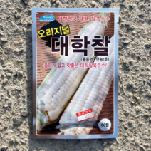 찰옥수수종자/대학찰옥수수( 80립 정품), 1개