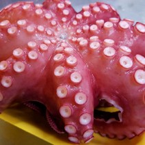 [명절선물세트] 제수용 자숙문어 한마리 1kg 1.5kg 2kg 제사용 냉동 문어 돌문어 삶은 데친 문어숙회 지티마트, 1개, 1-1. 제수용 자숙문어 1.0kg