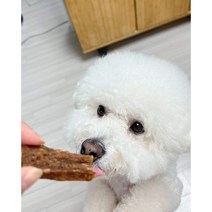 도클레르 오트밀 져키 강아지 수제간식 면역력강화에 좋은 간식, 캥거루오트밀