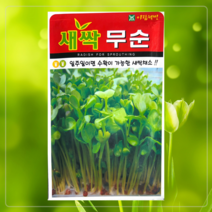 새싹순 무순 잔디씨 허브 레몬밤 라벤더 로즈마리 금잔화 메리골드 꽃차 엉겅퀴 흰민들레, 잔디