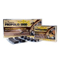 네이쳐스그린웨이 호주 고함량 프로폴리스 5000mg 120정, 120캡슐