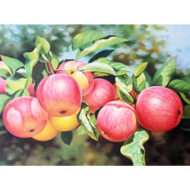 재물 풋사과 우드 직소퍼즐 행운 풍요의 상징 돈을부르는 홍사과 청사과 거실 풍수지리그림 DIY 맞추기 조각퍼즐 집콕취미 선물용 집중력향상 감압소품 300/500/1000조각, 300조각, 풋사과퍼즐07