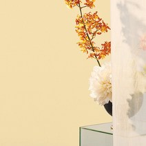 새로고침 만능풀바른벽지 실크 SH15100-5 제주의아침 라이트옐로우, 340cm