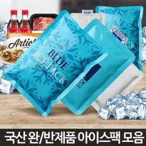 보냉제 갓니 소형얼음 젤 보냉팩 냉동팩 택배아이스박스 미니보냉백 아이스팩, 아이스팩완제품소128P