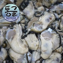 통굴씨푸드 통영산 생굴 1KG, 단위포장