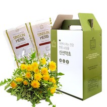 신선약초 민들레즙, 62개, 110ml