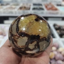 조개화석 암모나이트 화석 1 천연 격막 구 격막 천연 드래곤 돌 격막 화석 크리스탈 구, 7cm