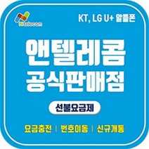 앤텔레콤 SK KT LG 선불유심 편의점 다이소 선불폰 개통 한국 알뜰폰 요금제 데이터 무제한 유심칩, KT선불요금제(KT정지폰 개통불가), 신용(앱)카드