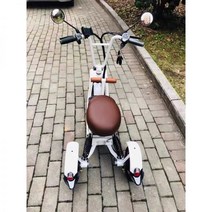 노인전동차 전동휠체어 스쿠터 노인스쿠터 노인 소형 애완 동물 접이식 부모자식 남녀 미니 이동성 배터리 용 3 륜 또는 4 전기 자동차, CC 3륜 2인승 화이트 하이엔드 _48V