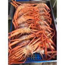 연지 자숙홍게 3kg (12미 내외), 고급 A급 = 수율 85%내외