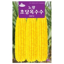 노랑 초당옥수수 씨앗 옥수수씨 400g