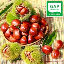 [런칭기념]공주알밤 정안밤 알밤 군밤 생율 햇밤 생밤 맛밤, [런칭기념]공주알밤 특(칼집x) 2kg, 1개