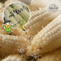 [KT알파쇼핑][팜쿡]괴산 삶은 대학찰옥수수 냉동 18개(팩당3개)