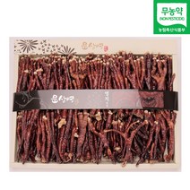 문상영 녹각영지버섯 무농약 영지버섯 불로초 사슴뿔 녹각영지 진액 먹는법 버섯차 녹각영지버섯물 산지직송 베타글루칸 효능, 600g 2세트