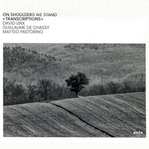 핫트랙스 DAVID LINX/ GUILLAUME DE CHASSY/ MATTEO PASTORINO - ON SHOULDERS WE STAND