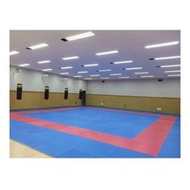 오성 - OSG-2001-1(장)/태권도매트/1000X1000X24(T)mm, 오성 OSG-2001-1 태권도매트