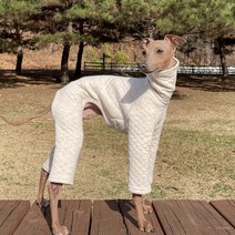 도기스타 이탈리안그레이하운드옷 아이쥐옷 누빔 겨울 올인원, 오트밀