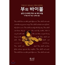 부의 바이블:삼천 년 유대인 역사 속 부의 비밀, 북스넛, 다니엘 라핀