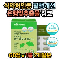플라보노이드효능 뇌에좋은영양제 집중력영양제 징코 플라보노이드효과 징코효능 징코효과 뇌영양제 혈행개선영양제 포스파티딜세린 은행잎효능 은행 뇌혈관영양제 혈관에좋은영양제