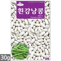 흰강낭콩 씨앗 30g - 네이비빈 강낭콩씨앗 강낭콩씨 콩씨앗 콩씨 씨 강남콩 주말농장 텃밭, 22_흰강낭콩(30g)