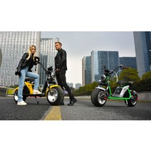 세발 전기 자전거 성인 삼륜 Sportsters-전기 리튬 배터리 60V30A3000W 시티 코코 스쿠터 찌 여행 헬기, [02] purple 60v3000w30a