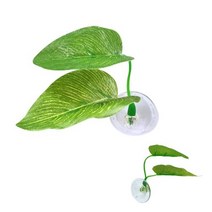 아마존 프리미엄 베타침대 그린, 1개