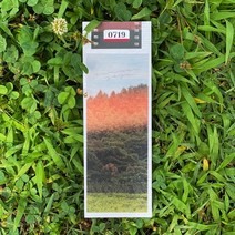 SUMMER JEJU BOOKMARK 여름 제주 북마크 책갈피 0719 산