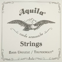 Aquila 아퀼라 THUNDERGUT GDAE 베이스 우쿨렐레세트 68U