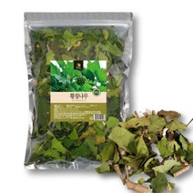 국산 건조 황칠나무잎 황칠차 황칠나무차 500g, 1개