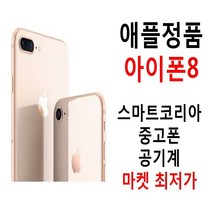 애플정품 아이폰8 공기계, 내장메모리, 256기가