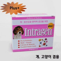 길냥이 노령묘 고양이 위 장 건강 영양제 고양이약 보양식