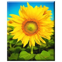 SHEXIU 3D 원형 보석십자수 키트 일체형 캔버스 액자 50 x 40 cm, AE016  활짝 핀 해바라기x1세트