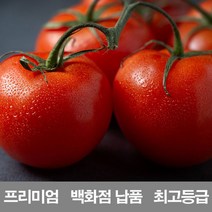영화청과 국내산 토마토 10kg 프리미엄 백화점 남품, 쿠팡 최고의상품 1, 쿠팡 최고의상품 본상품선택